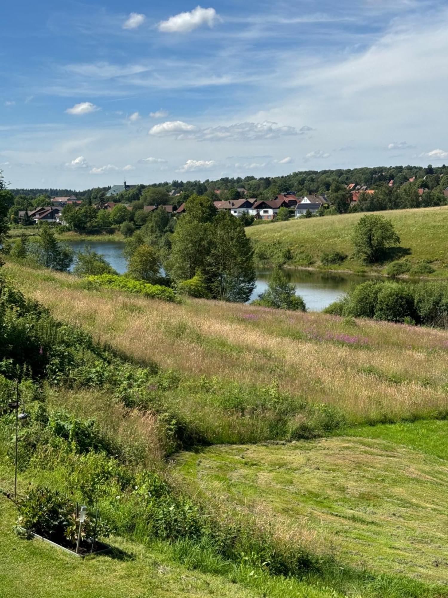 Appartement Max Clausthal-Zellerfeld Kültér fotó