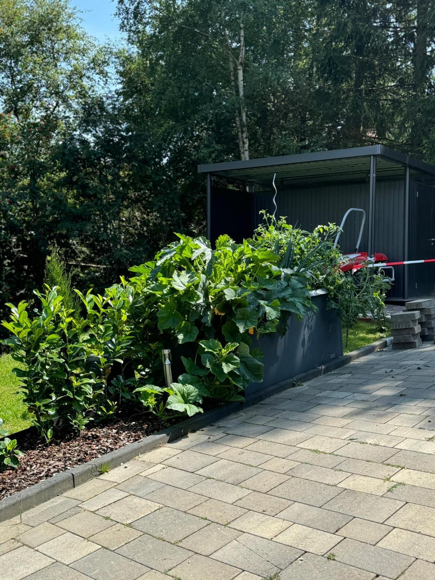 Appartement Max Clausthal-Zellerfeld Kültér fotó